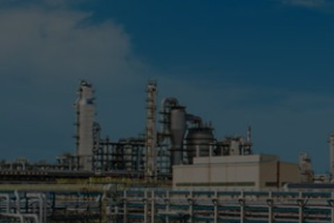 Fine chemical industry