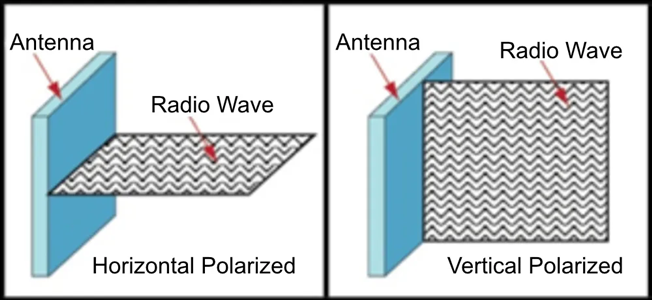 Single polarized antenna.png