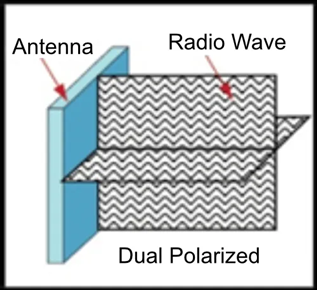 Dual polarized antenna.png